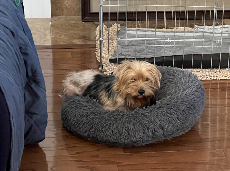 Terrified of new home