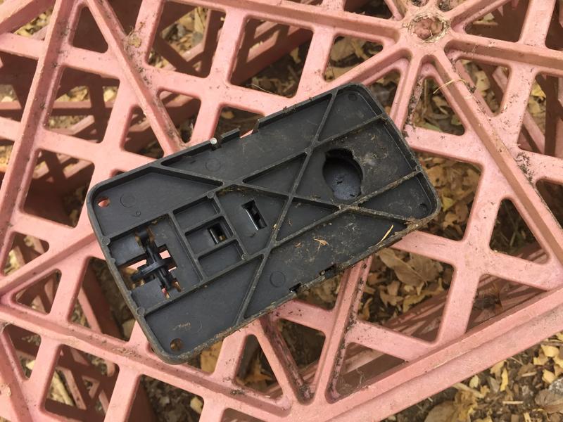 Bait bowl removed by wood rat