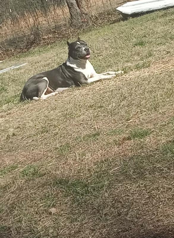 My old man.