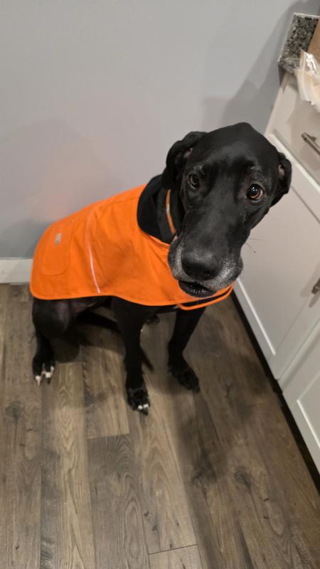 Storm's first Carhartt