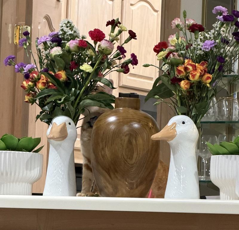 My Geese with Flowers 💐
