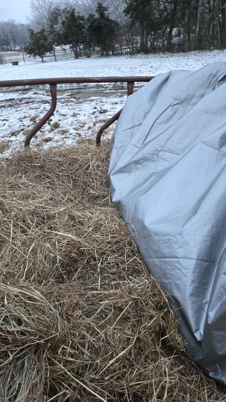 After days under ice and standing water on the tarp