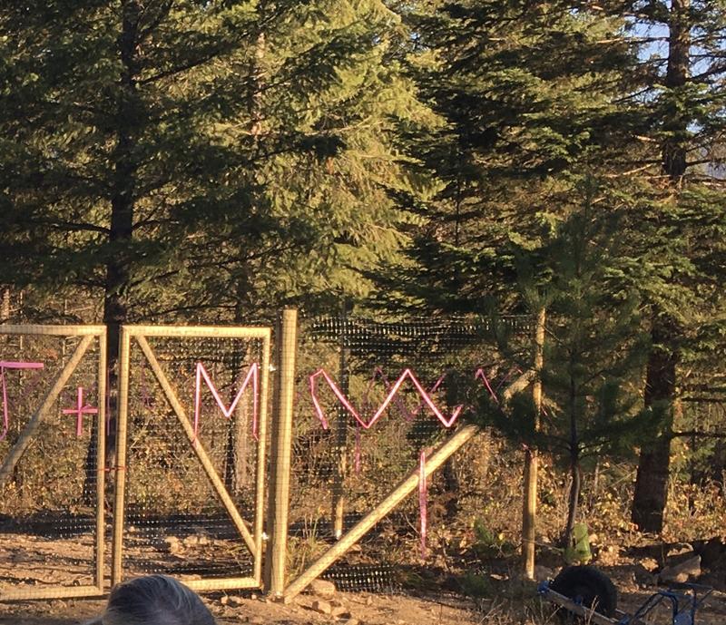 So easy to see through we added surveyor’s tape so seer would see it.