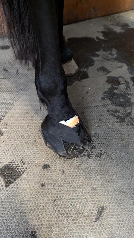 Rewrapped the second day