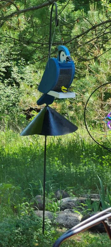 Happy, well fed birdies!