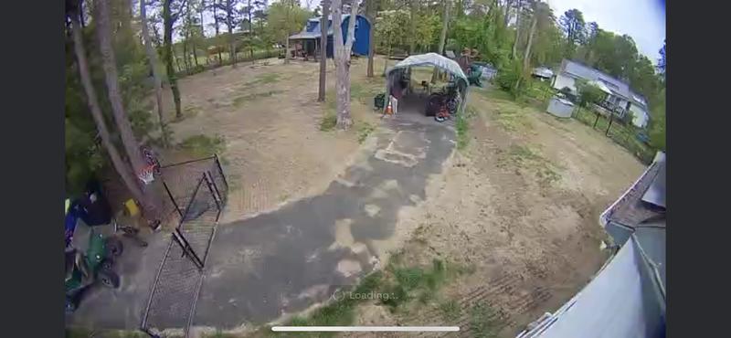 First Photo was the day we laid the seed. Second photo is our yard 3 weeks later. Very impressed!