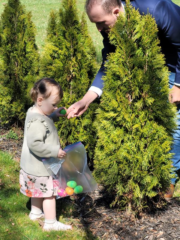 1.5 years after planting