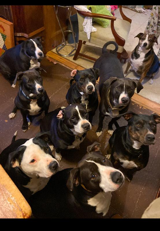 Birthday picture of my Mt. Curs Dr. ZUESS day