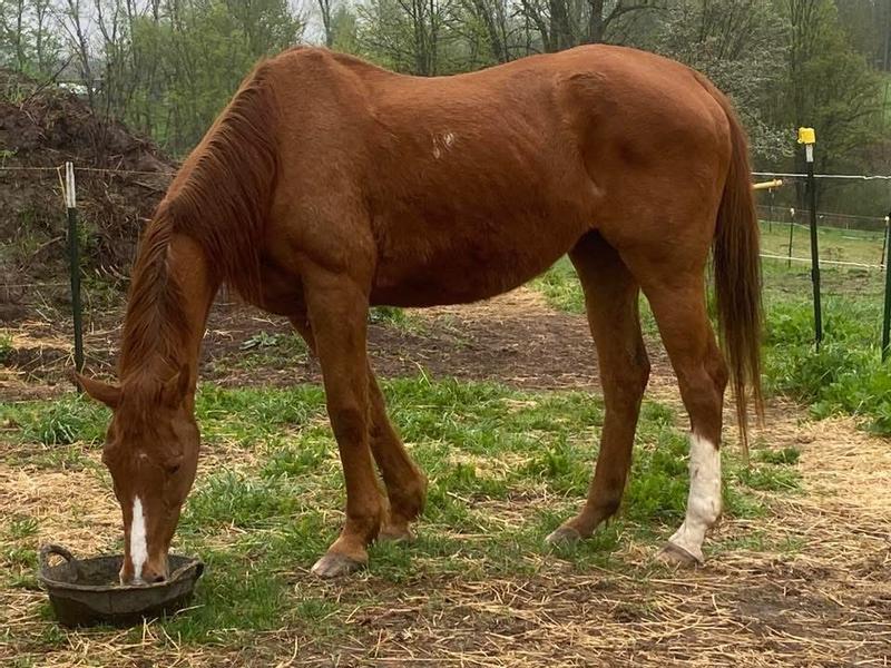 35 years old, this stuff is amazing