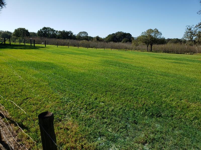 You can clearly see where it was applied