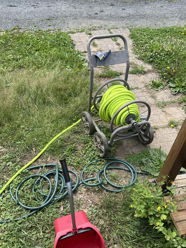 One rose up perfectly while the other bears kinks