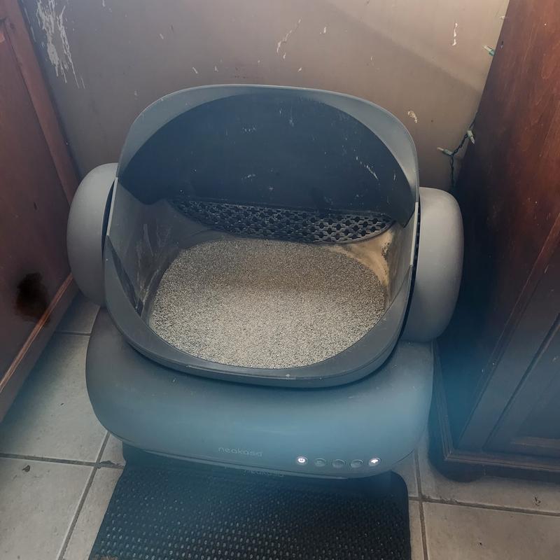 New litter box