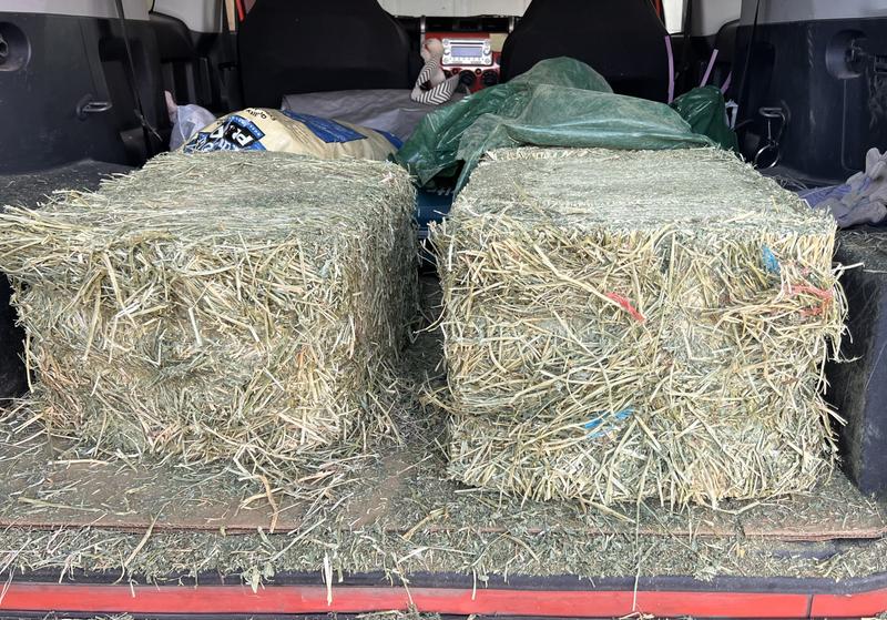 Bale on the right had chopped plastic twine inside it