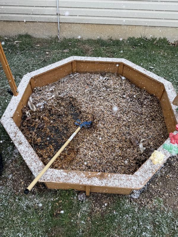 Only took 10 min to clear this corn box!