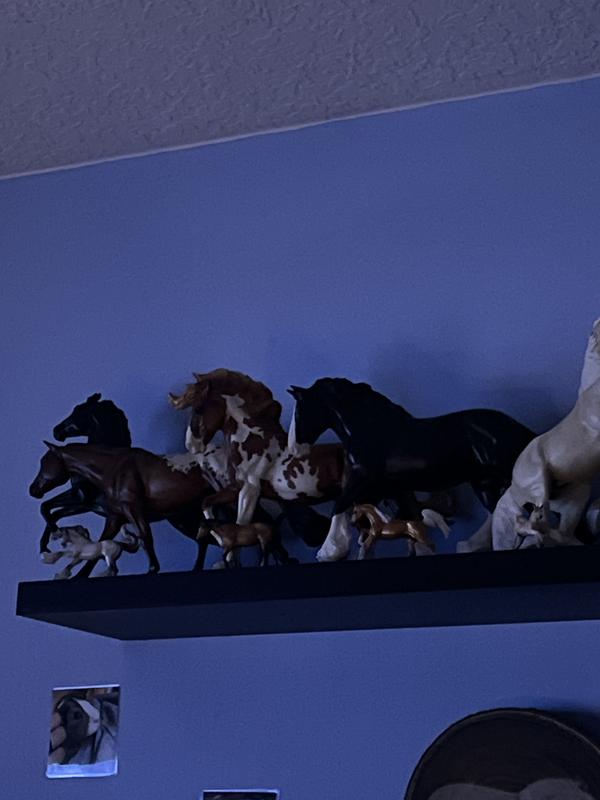 Hard to see but he’s there haha