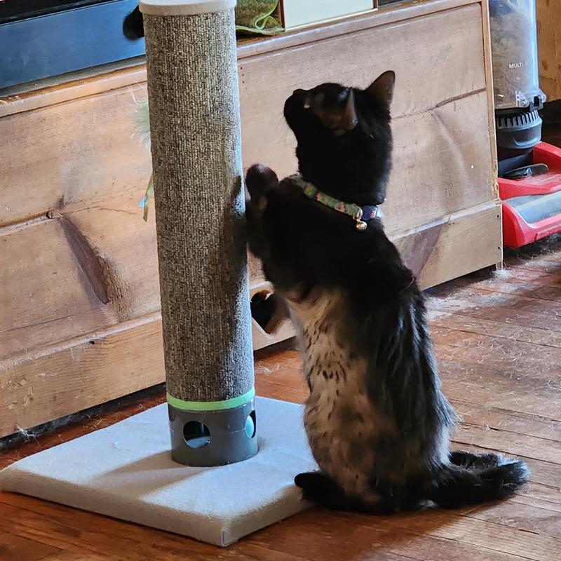 Cat scratcher