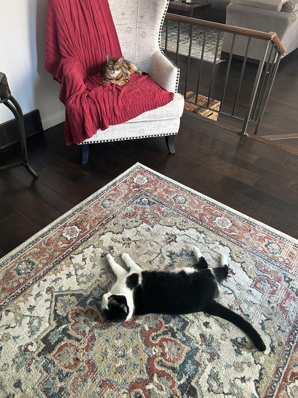 Sammy and Fifi