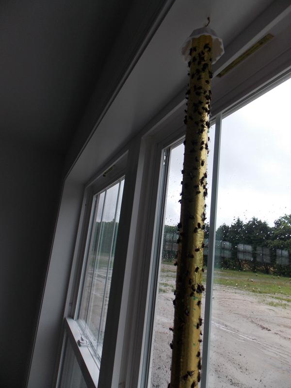 Catchmaster fly trap