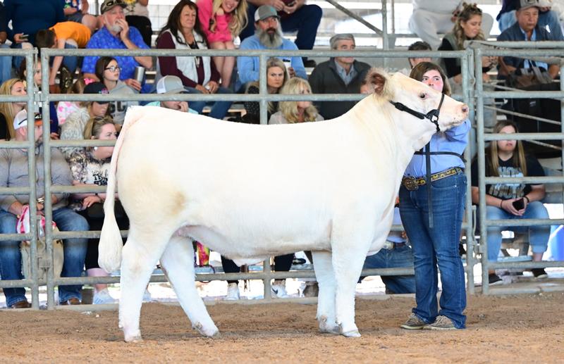 Hi Fiber equals success!