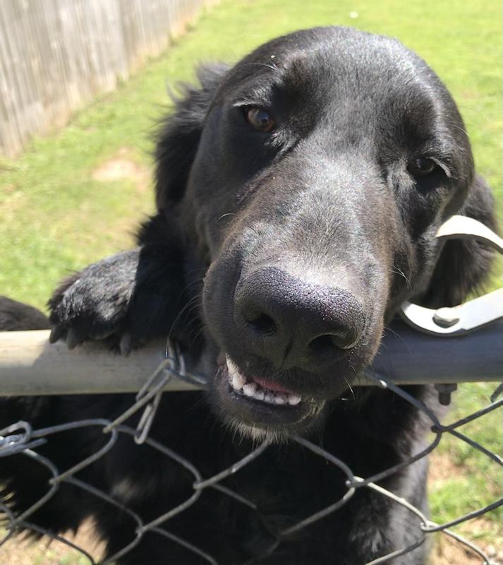 Sweet Bella