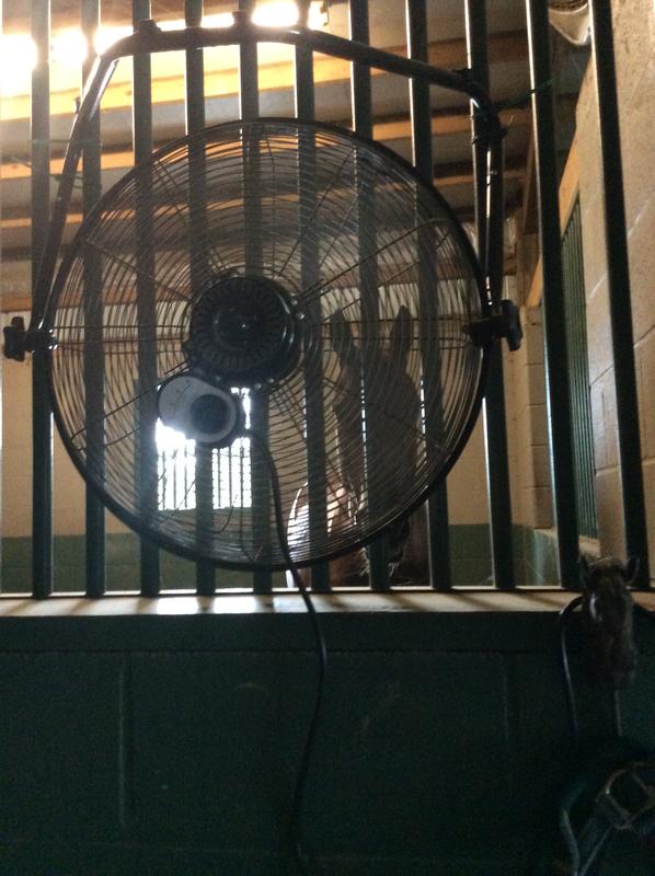 Appreciating the breeze