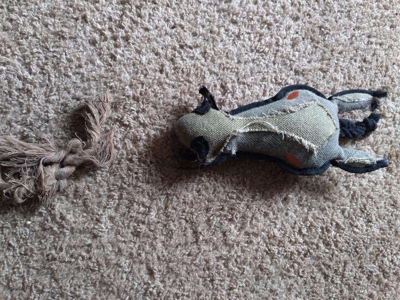 Well loved toy
