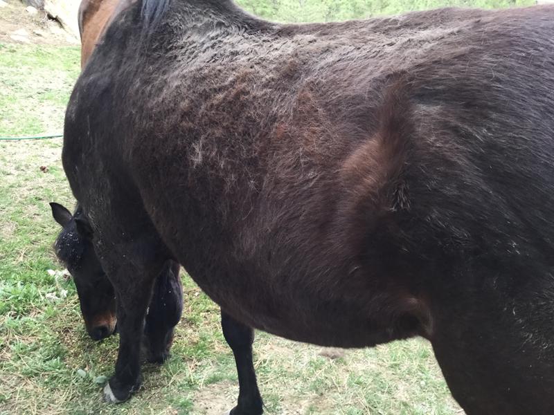 Before Opti stuff...