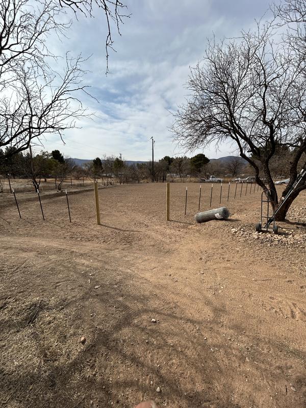 Cleared, raked and seeded.