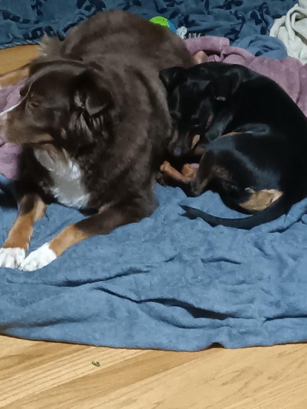 Naptime