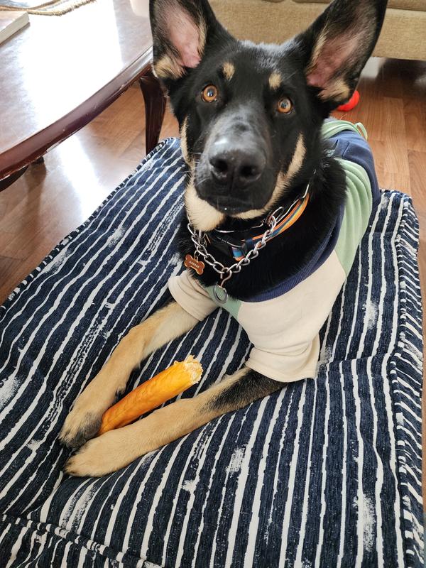 Garrus lovin his pork chomps!
