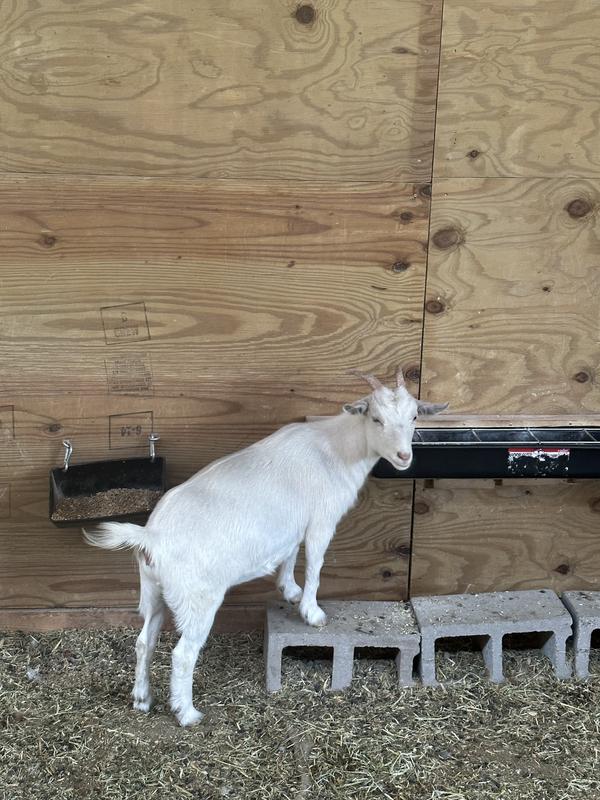 Don’t mount too high!!!!