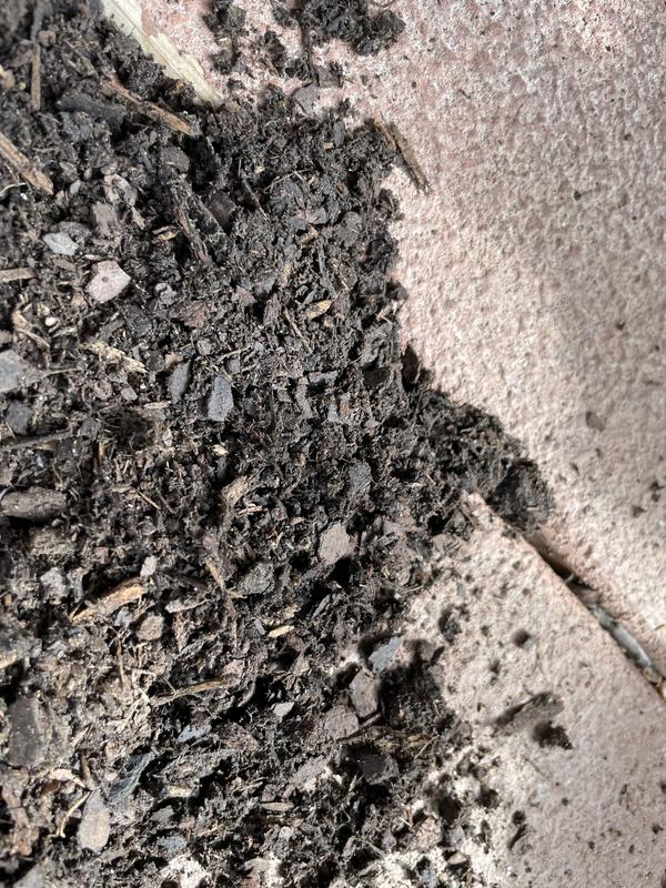 Right out of the bag.