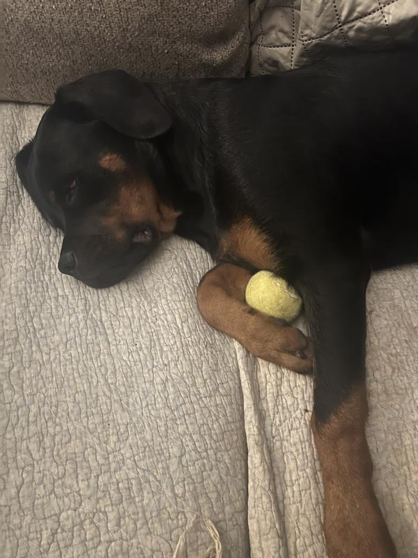 Fell asleep playing