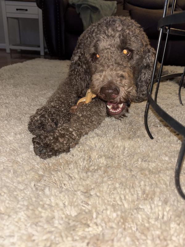 One of my sweet babies