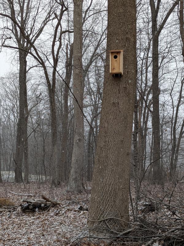 LOVE this owl house!  My husband placed a Blink camera inside and mounted a batter on the bottom side....I now can use my phone to see inside with the 'owl cam'.....can't wait for some winged residents to come!