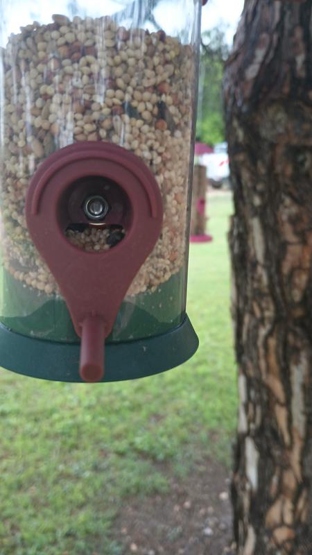 Other feeder