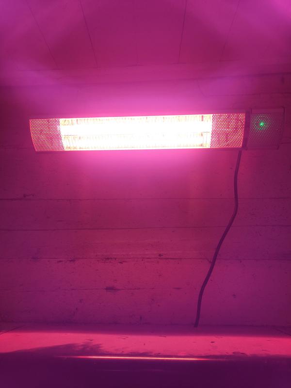 Review photo 6.