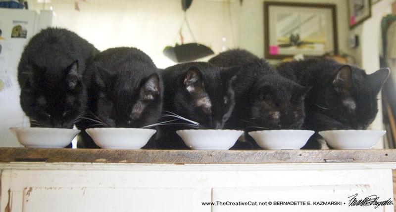 Four 15-year-olds and their 19-year-old mom enjoying the Senior Lunch Special.