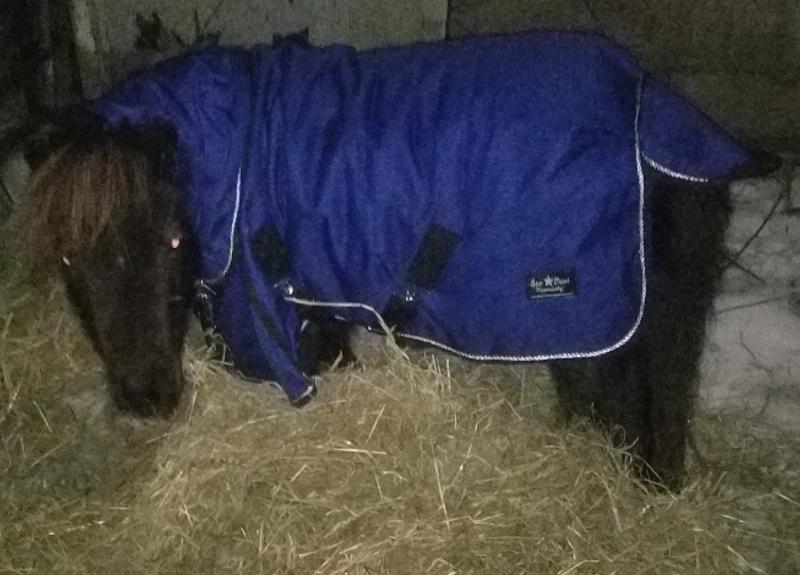 Stinkerbell LOVES THIS BLANKET! So warm! (Our Michigan winter won't be so bad now)