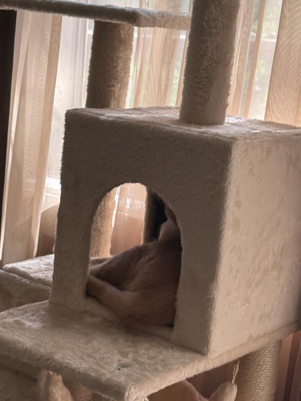 Review photo 1.