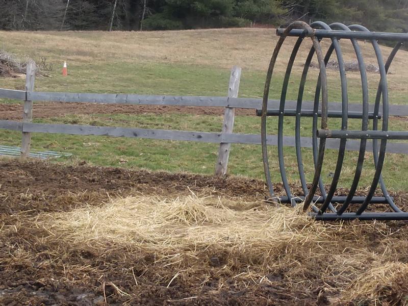 Very little wasted hay