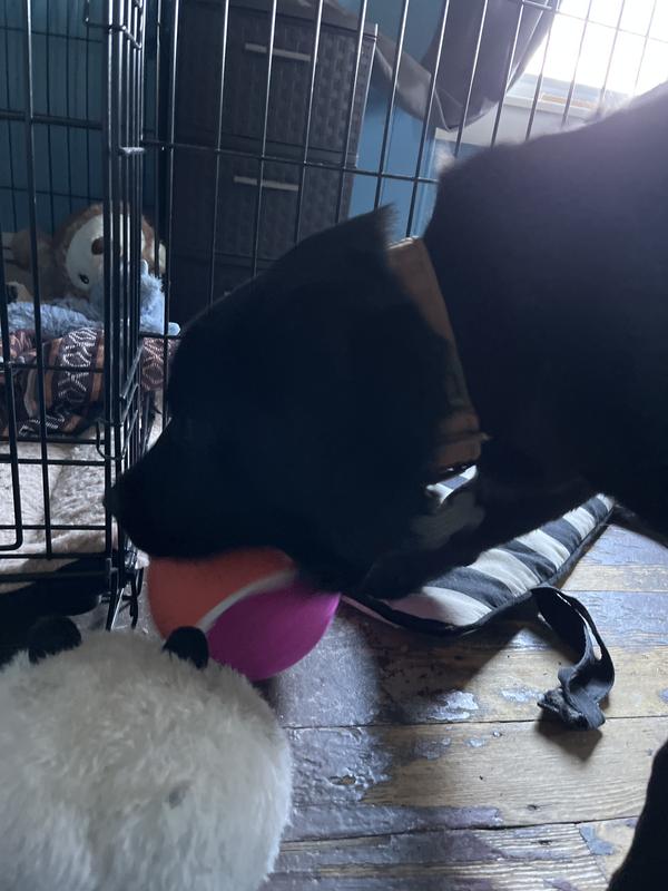 Big ball bigger mouth
