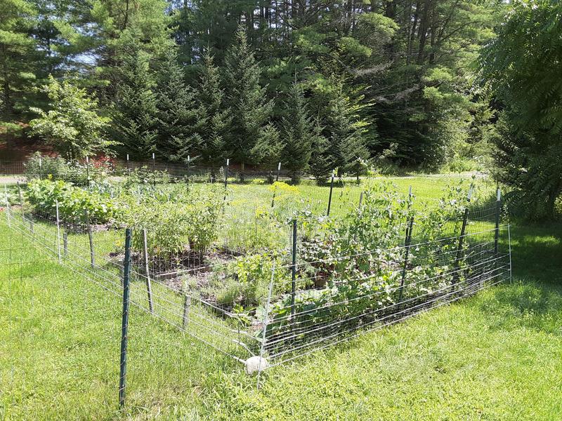 electric fence outermost fence, white wire