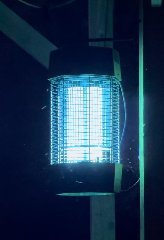 You can clearly see the mosquitos headed to their fate.