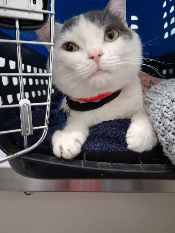 Please!!!!  It's nap time