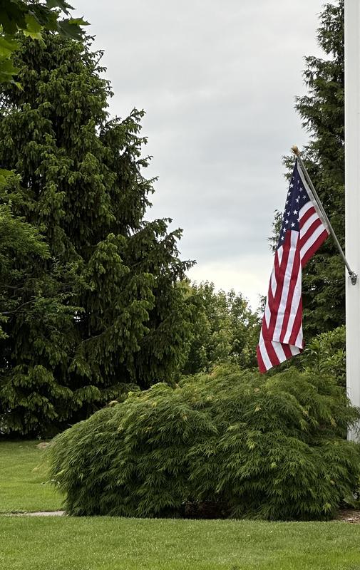 The land of the free! And the home of the brave!