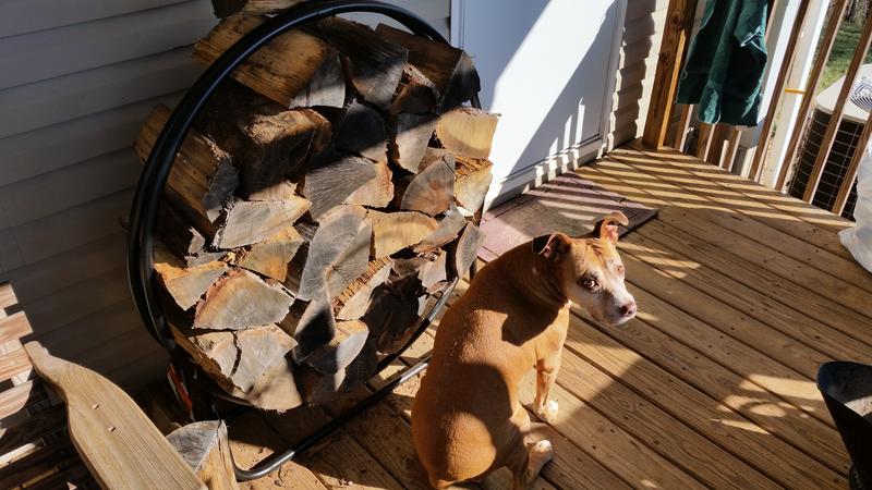 My new 48" wood ring