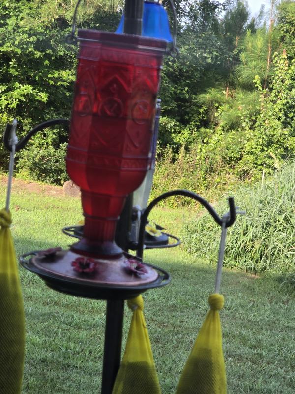 Feeder from Tractor Supply