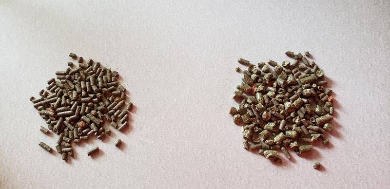 Comparison picture (02)