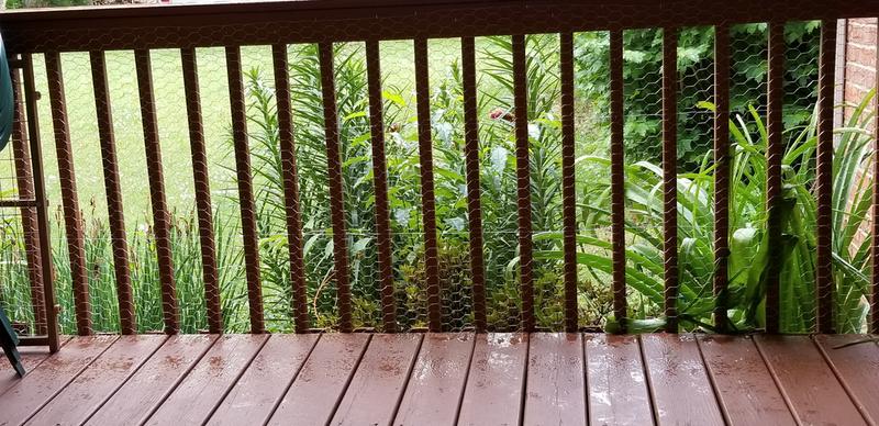 Side area of deck.